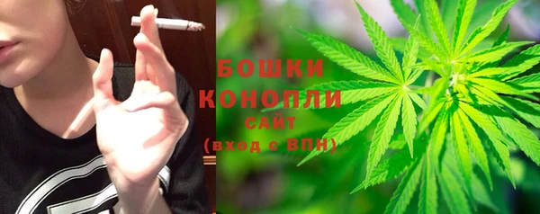 мдпв Верея