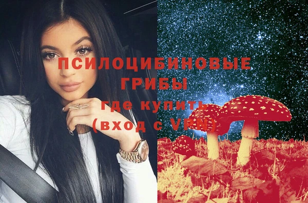 мдпв Верея