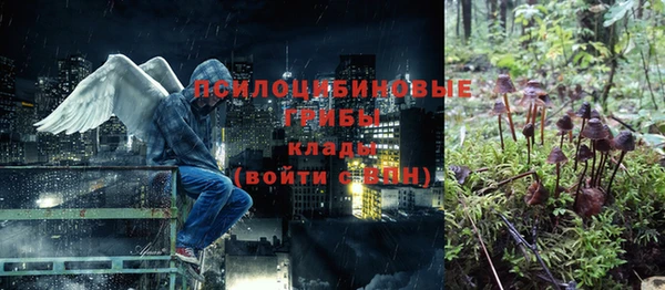 мдпв Верея