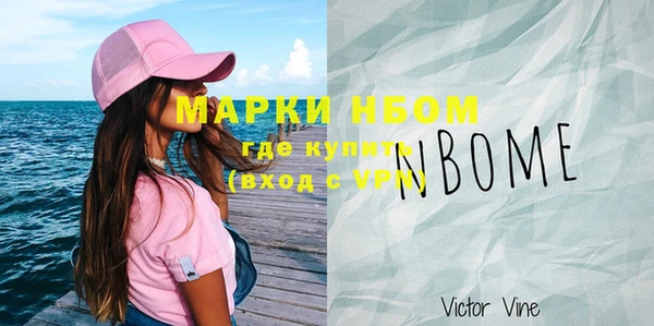 мдпв Верея
